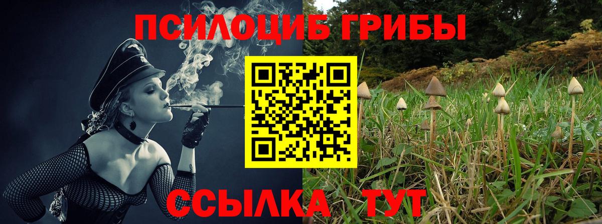 Псилоцибиновые грибы Psilocybine cubensis  Псилоцибиновые грибы Psilocybe  Вход с VPN  Камышлов 