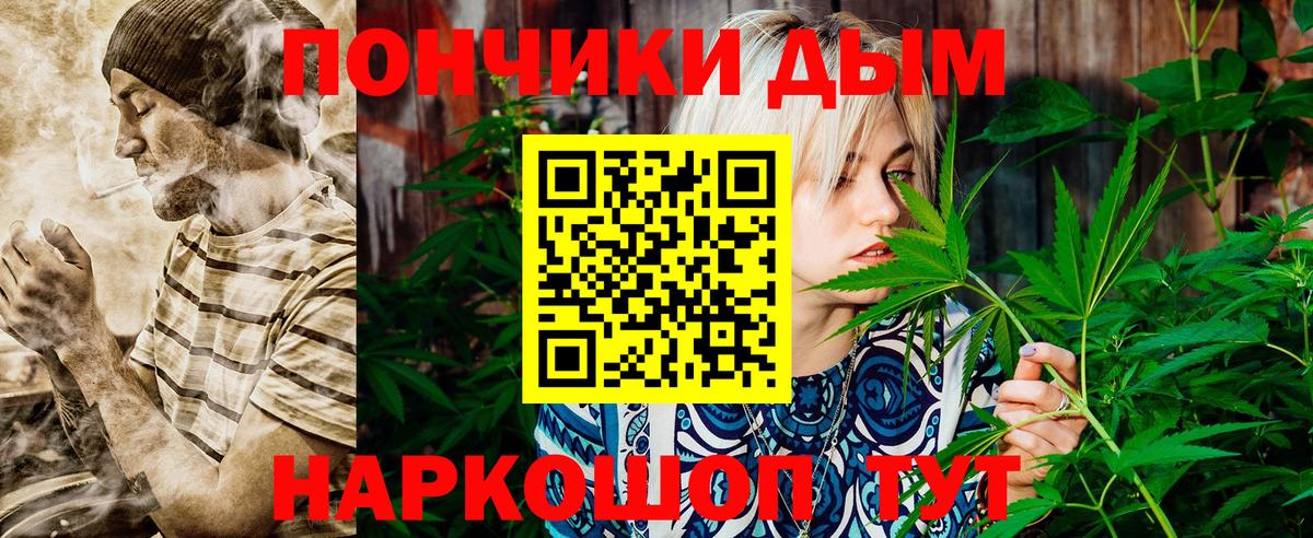 Бошки марихуана марихуана  Канабис семена  Вход с VPN  Камышлов 